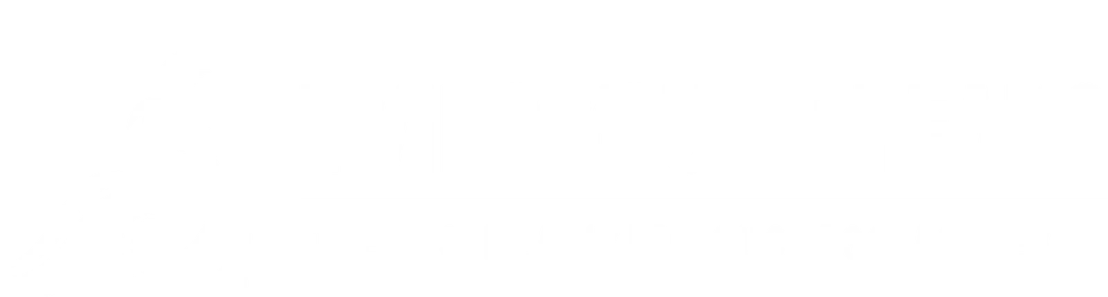 Living Your Dreams Pte. Ltd.
